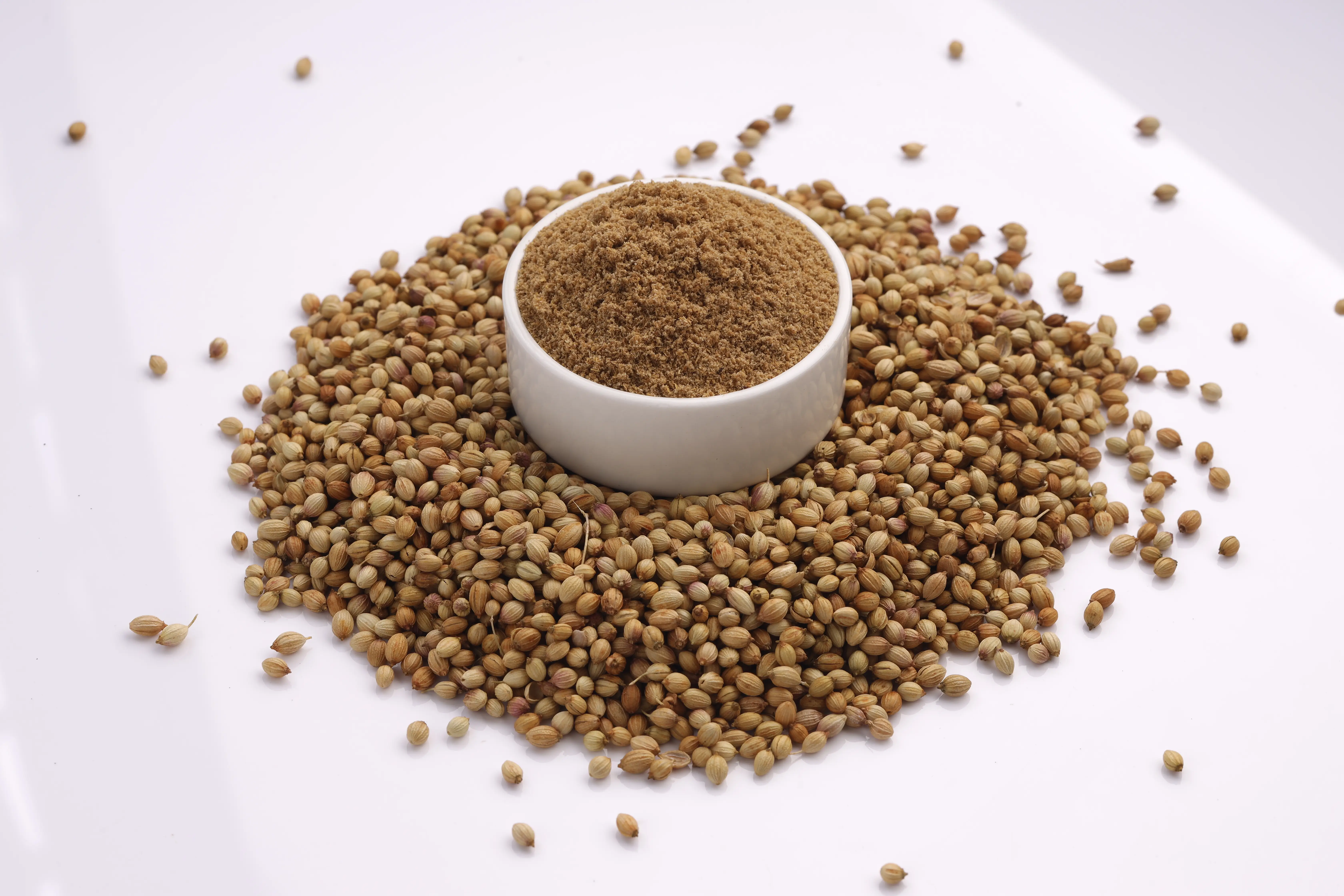 Coriander Seeds