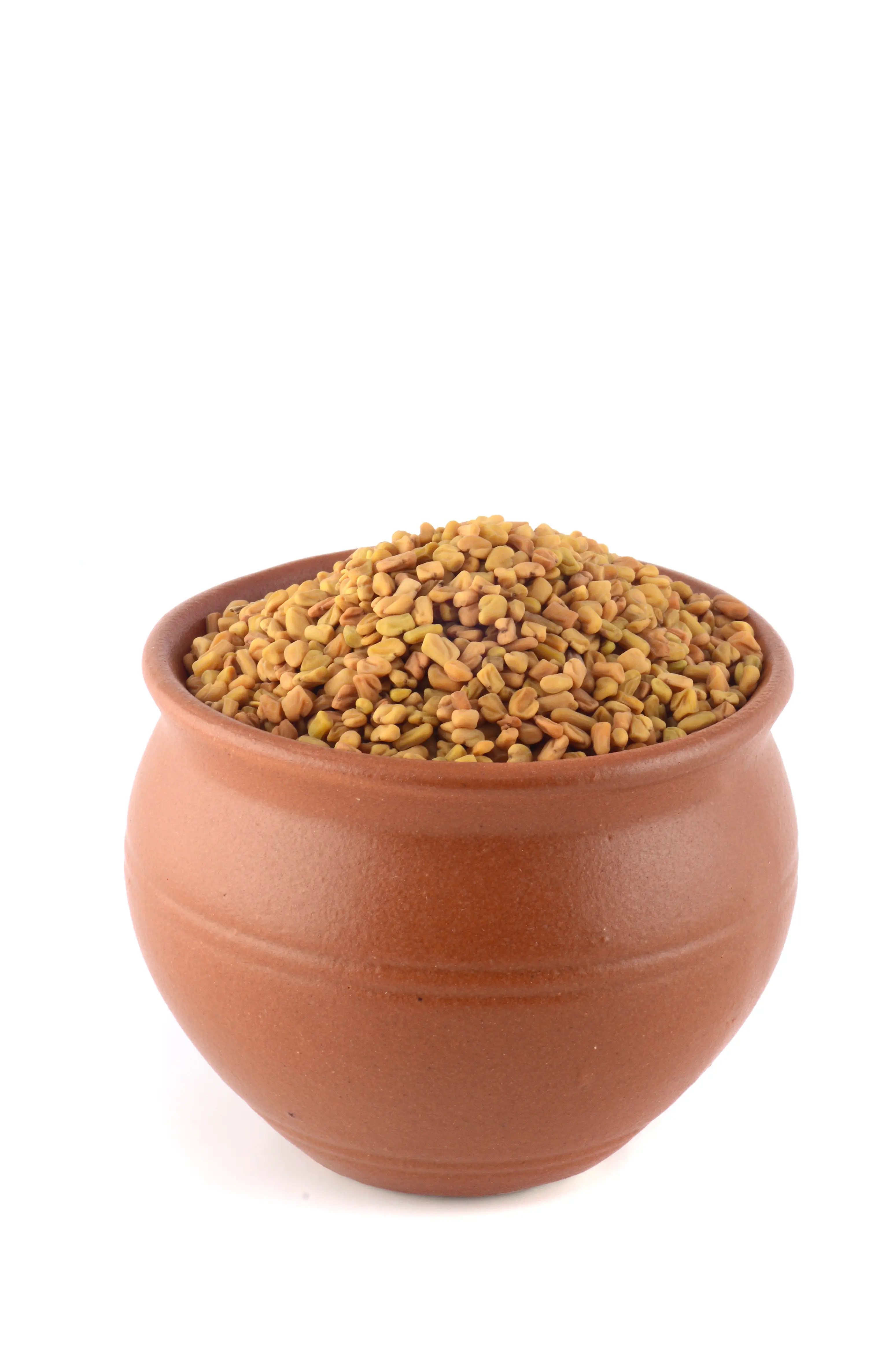 Fenugreek Seeds