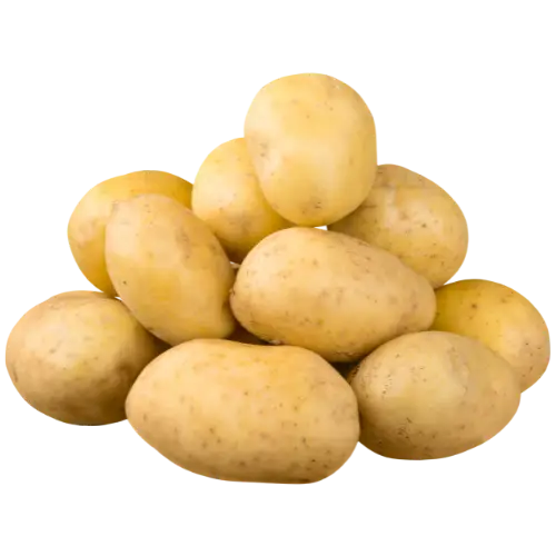 Fresh Potato